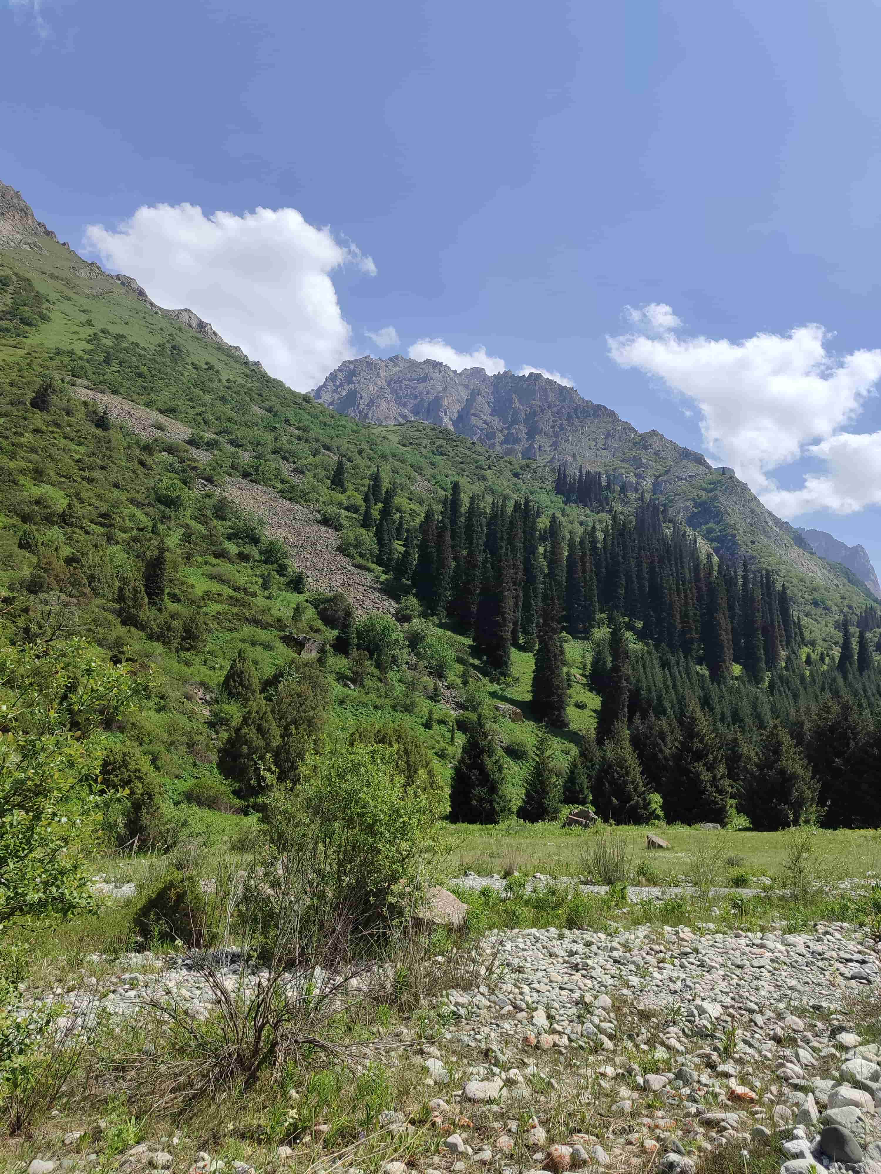 Ala Archa Canyon dramatic mountain cliffs and pine forest in Kyrgyzstan